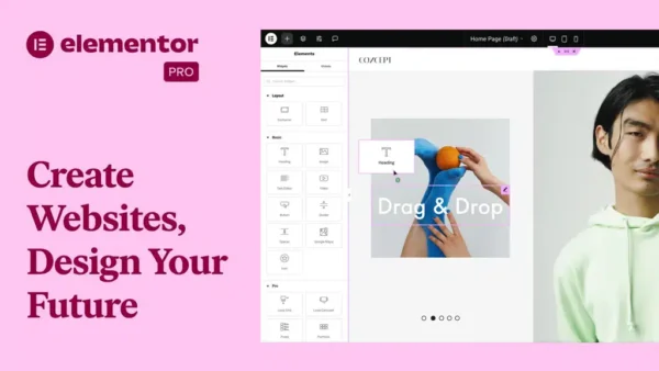 Elementor Pro (Installation & Activation)