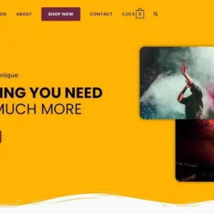 OceanWP Pro (Installation