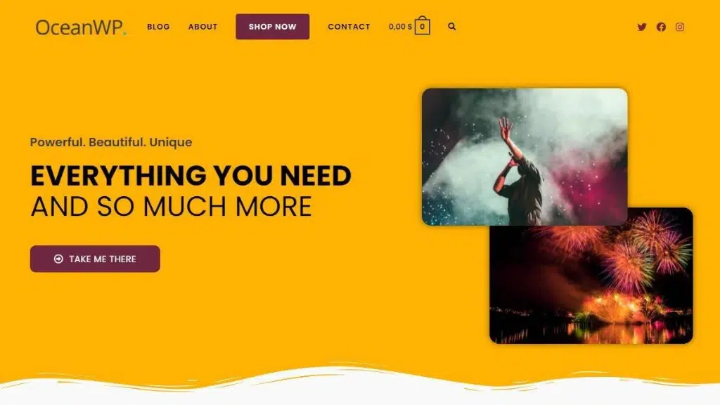 OceanWP Pro (Installation