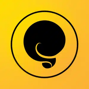 Squirrly SEO Pro (Installation & Activation)